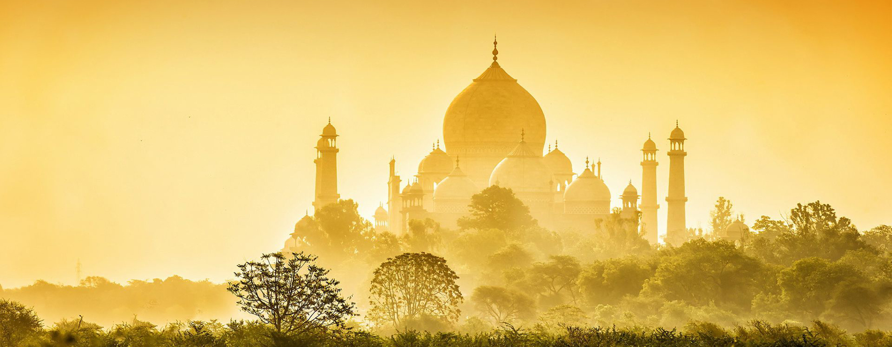 Triangulo Dorado India